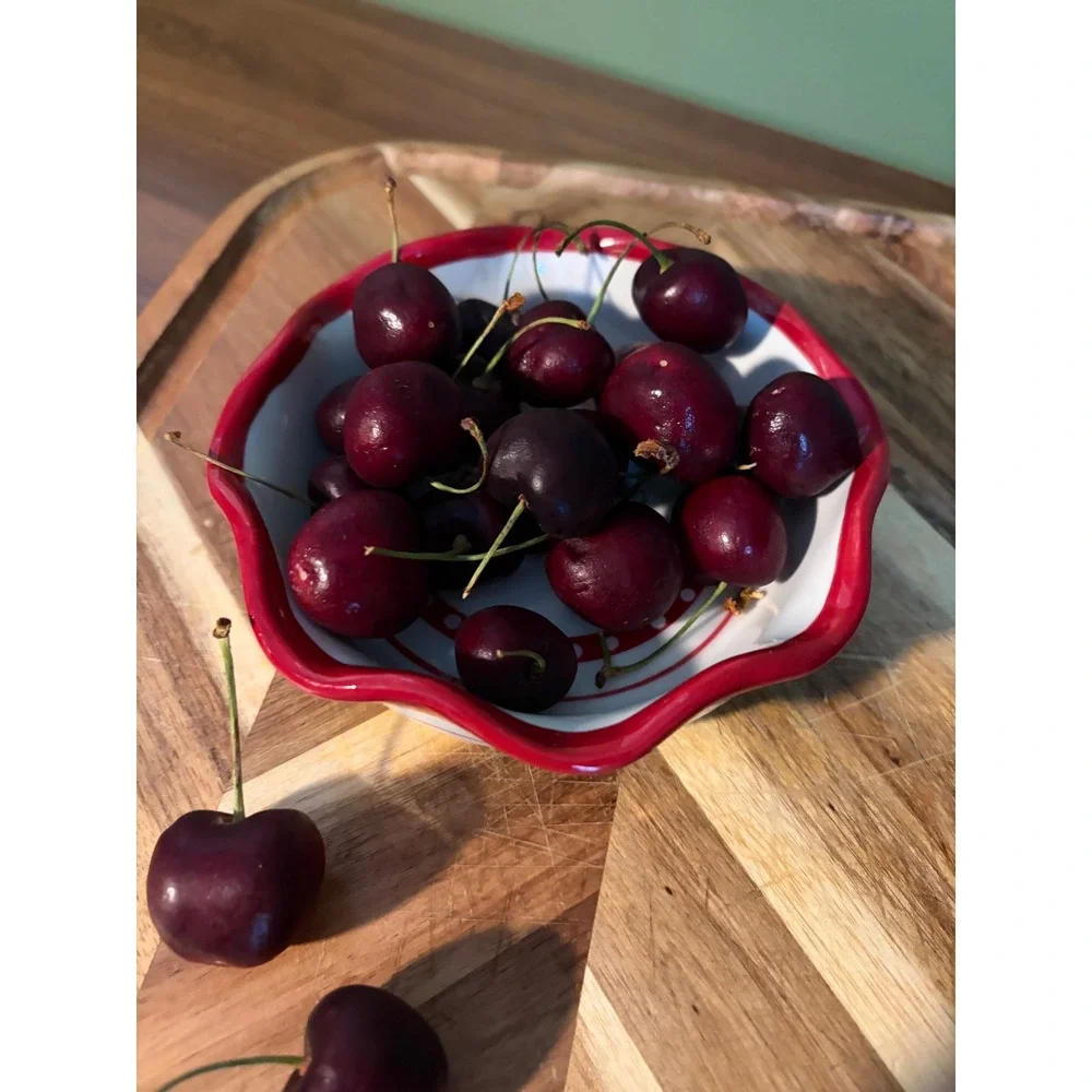 Crate & Barrel Cherry Scalloped Ceramic Bowl